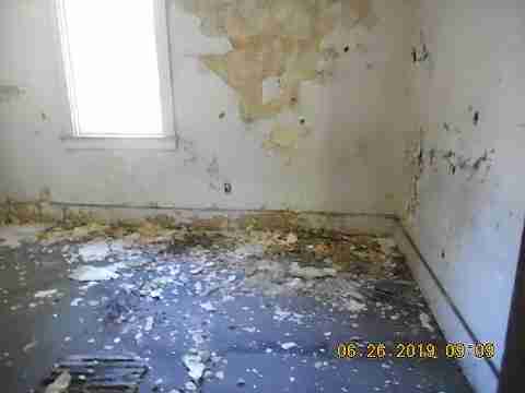 16606 Stoepel (30)_m.jpg